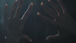 Roy — foto 1