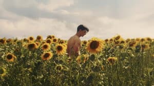 Sunflower — foto 1