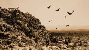 Waste Land — foto 2