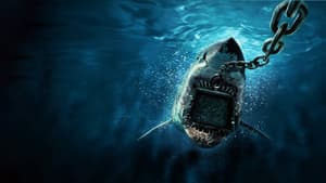 6000 LB Shark — foto 1