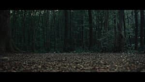 Truffle — foto 1