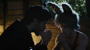 Coelho Mau — foto 2