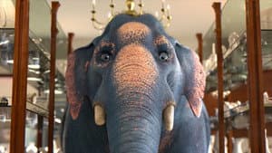 Comme un éléphant dans un magasin de porcelaine — foto 5