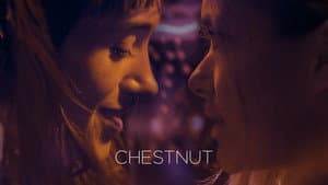 Chestnut — foto 4
