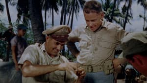 Guerrilleros en Filipinas — foto 6