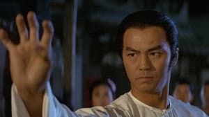 洪拳大師 — foto 6