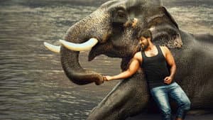 ராஜபீமா — foto 1