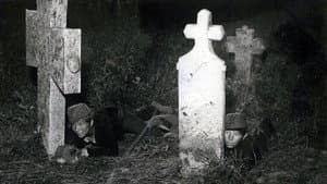 Boško Buha — foto 2