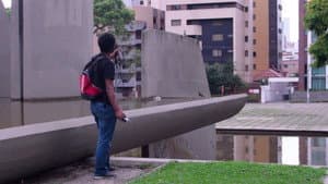 O Pombo — foto 1