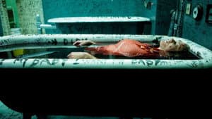 Psych:9 — foto 1