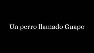 Un Perro Llamado Guapo — foto 1
