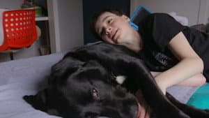 Moi et mon chien — foto 1