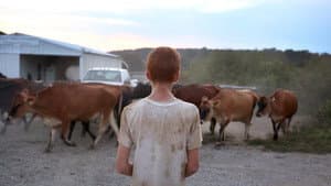 Farmsteaders — foto 1