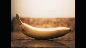 BANANAS — foto 1