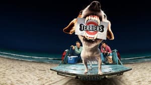 Terriers — foto 2