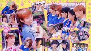 仔犬ダンの物語 メイキングオブ — foto 1
