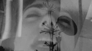Safer Sexual Techniques in the Age of Mechanical Reproduction — foto 3