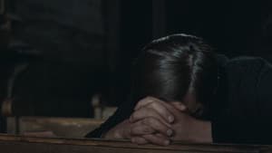Ryś — foto 5