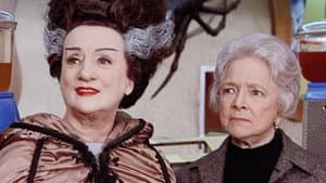 The Snoop Sisters — foto 3