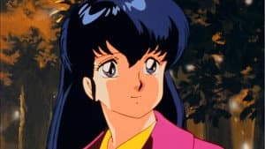 めぞん一刻 移りゆく季節の中で — foto 1