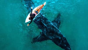 Great White Serial Killer: Fatal Christmas — foto 1