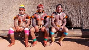 Lost Cities of the Amazon — foto 1