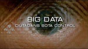 Big Data. Ciudadanos bajo control — foto 1