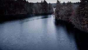 Nightworld — foto 5