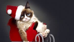Grumpy Cat's Worst Christmas Ever — foto 3
