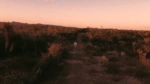 Vaqueros — foto 1