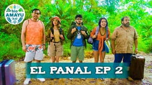 El Panal | BIO AMAYU — foto 1
