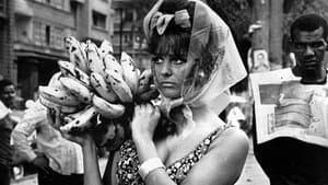 Una rosa per tutti — foto 1