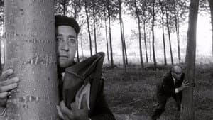 Il maestro di Vigevano — foto 1