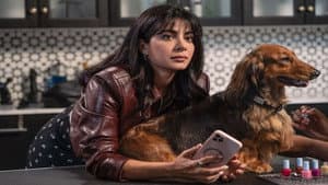 Paws in the City — foto 2