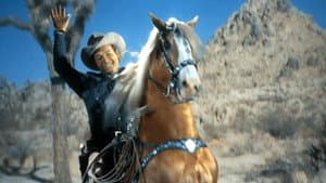 The Golden Stallion — foto 1