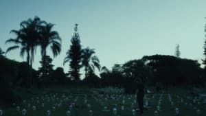 Lágrimas Holandesas — foto 1