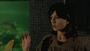 Duelle (une quarantaine) — foto 3