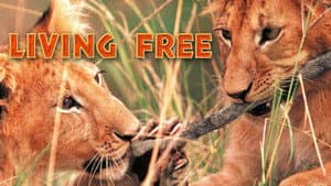 Living Free — foto 4