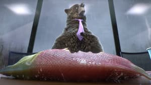 Comme un Ours — foto 9