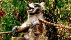 Coons! Night of the Bandits of the Night — foto 2