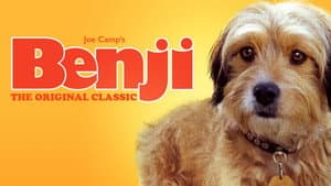 Benji — foto 2