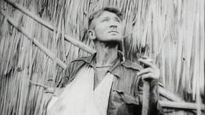 Kokoda Front Line! — foto 1