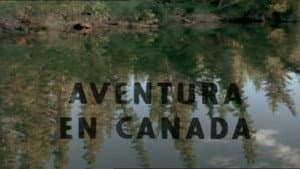 Episodio 12