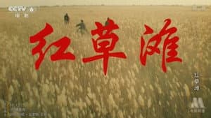 红草滩 — foto 1