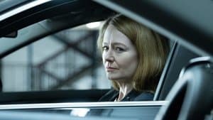 Todo sobre Allison