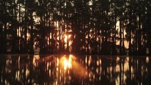 Uncertain — foto 1