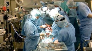 Der Streit um den Hirntod – Organspende auf dem Prüfstand — foto 1