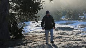 Attenborough and the Empire of the Ants — foto 9