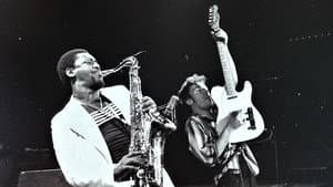 Bruce Springsteen & the E Street Band Houston '78 Bootleg: House Cut — foto 1
