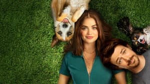 Amor De Cachorros — foto 5